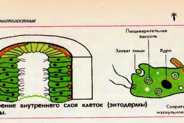 Кракен мага