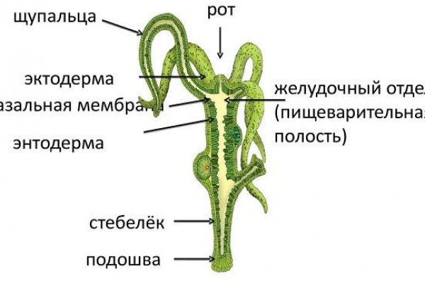 Рабочие ссылки и зеркала кракен