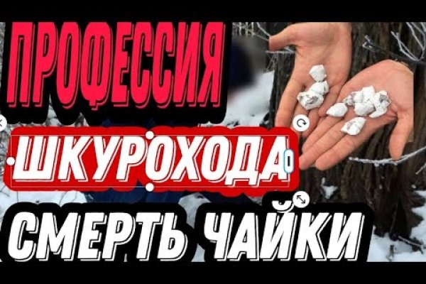 Гидра и кракен