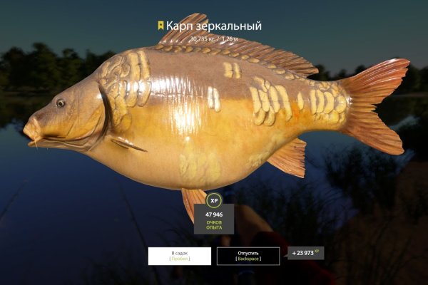 Свежие ссылки кракен